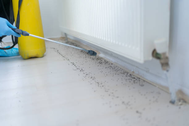Ontario, OR Pest Control Company