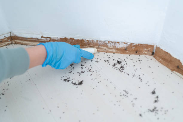  Ontario, OR Pest Control Pros